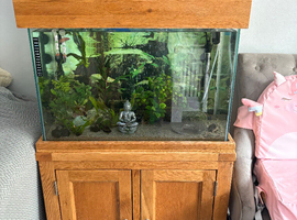 Aqua oak 100 litre fish tank