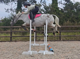 13.1 Appi x 11 years old