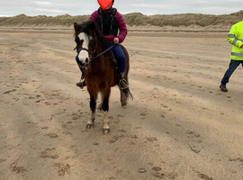 Perfect lead rein/FR/ show pony