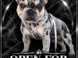 Open for stud