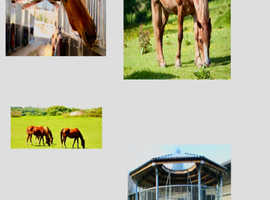 Retirement livery's