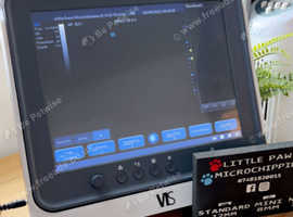 Pet Pregnancy Ultrasound