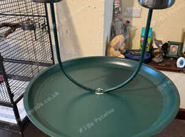 Parrot play stand