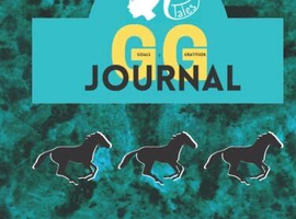 Amber's pony tails gratitude journsl