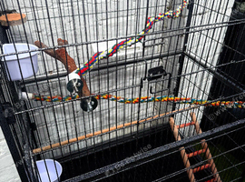 LARGE BIRD CAGE