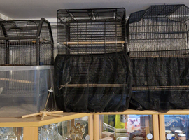 Bird cage x3