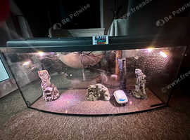 240L fish tank + all the accessories