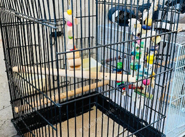Tall cage and wider
