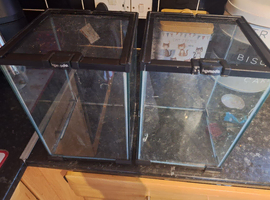 Various small glass vivariums