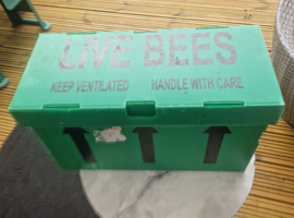 6 frame nuc of honey bees ready for collection : RYE, EAST SUSSEX