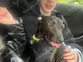 Patterdale