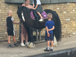 Perfect children's pony.