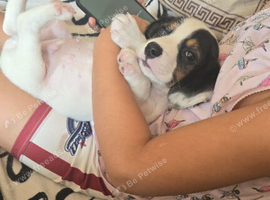 Boy 4 months