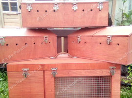 Ferret carrying boxes for sale