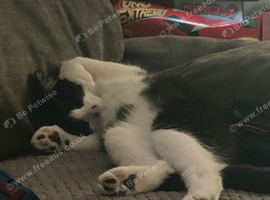 5 month old boy