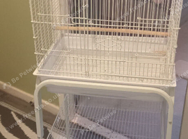 Budgie cage