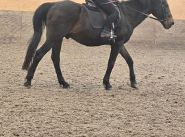 Looking for a loan for a beginner