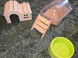 Lil Syrian hamster girl an cage