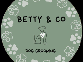 Betty & Co Dog Grooming