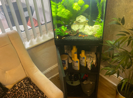 Fish tank tropical