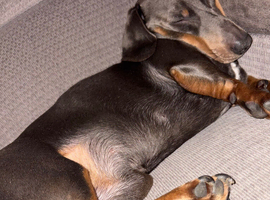 Slinky
