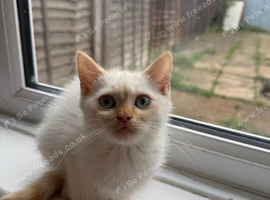 One little girl