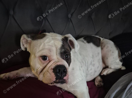 Lady is looking for her forever h9me