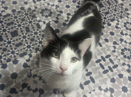 Looking for a new home