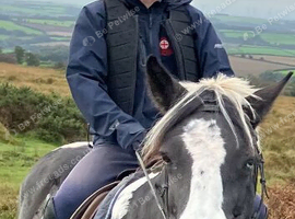 Wanting voluntary work with horses