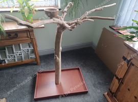 Java tree parrot stand