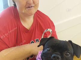 Female frug named Luna