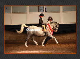 Lead rein/ first ridden