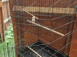 Bird cage