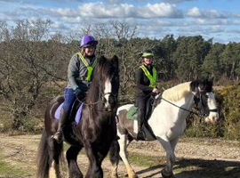 Unique 2 horse share opportunity
