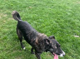 Denson needs a patient home