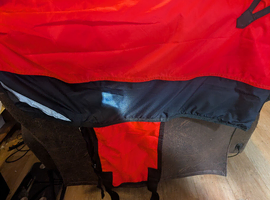 Horse's Coat