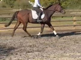 Big friendly Tb