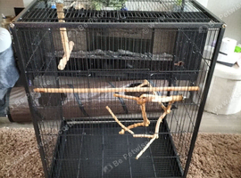 Large bird cage
