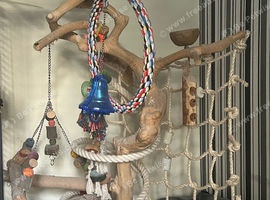 Jarva tree and toys
