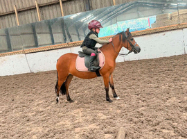 Super first pony