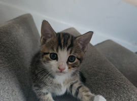 Lovely boy