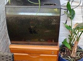 Selling a fish tank with 12 fish in it