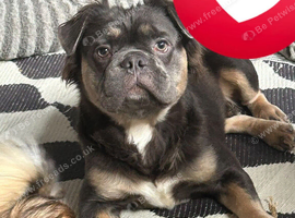 Heartbreaking sale of beautiful boy