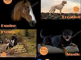 Four Legs Photography