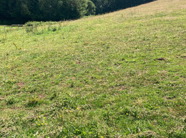 Hi ave 2 small paddocks  available