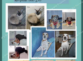 Custom Pet Portrait