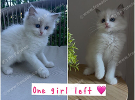 One girl left