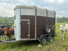Trailer project for sale