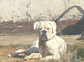 Looking for her forever home!