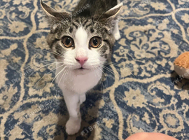 Beautiful Baby Boy